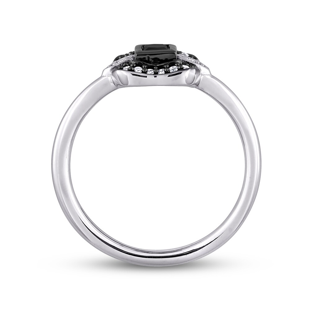 Black & White Diamond Ring 1/4 ct tw Princess/Round 10K White Gold HpUAxnk2